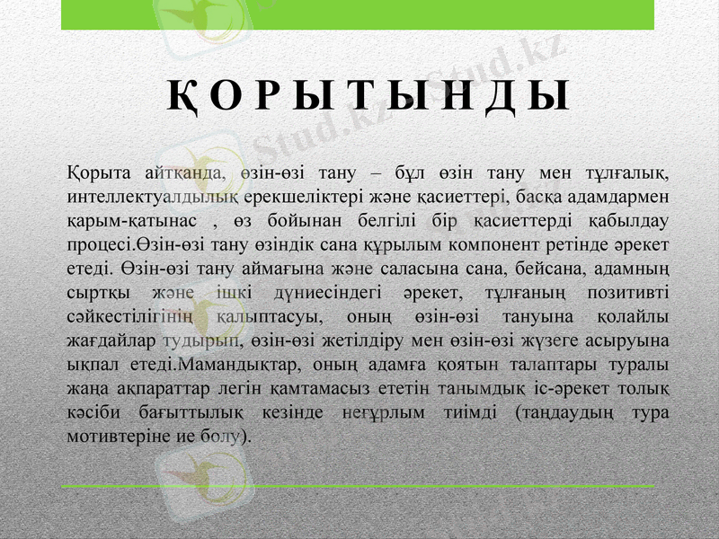 Slide 13
