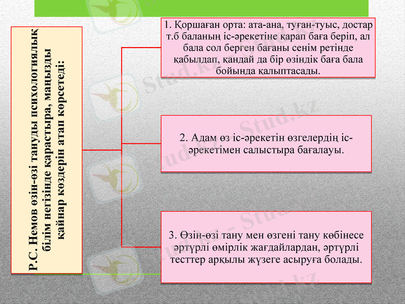 Slide 8