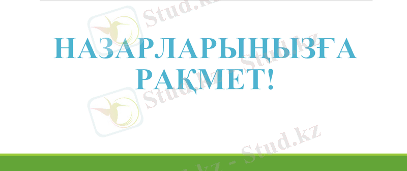 Slide 13