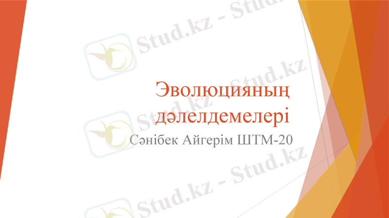 Slide 1