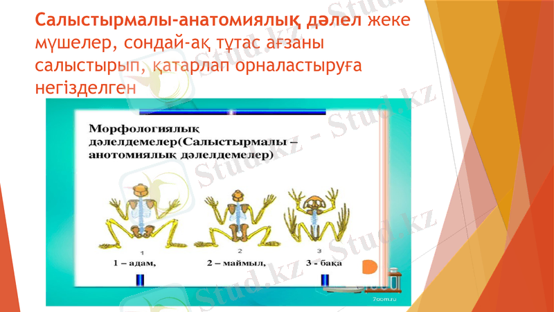 Slide 3