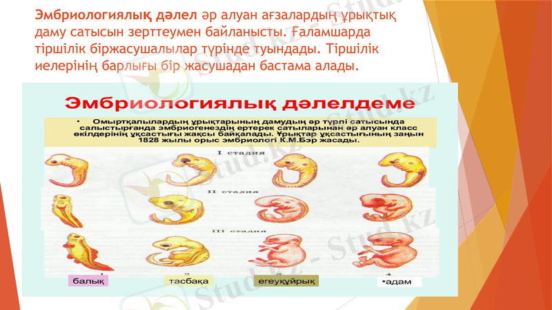 Slide 6