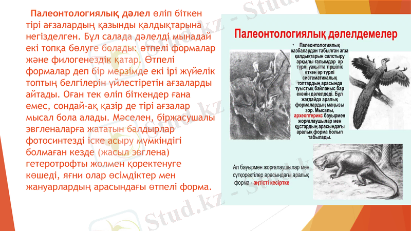 Slide 7