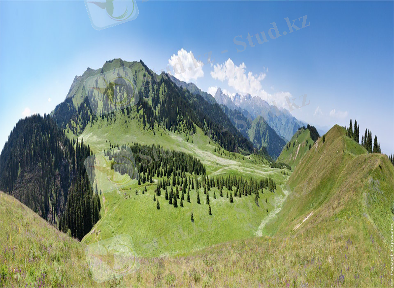 Slide 9