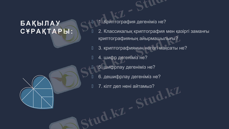 Slide 10