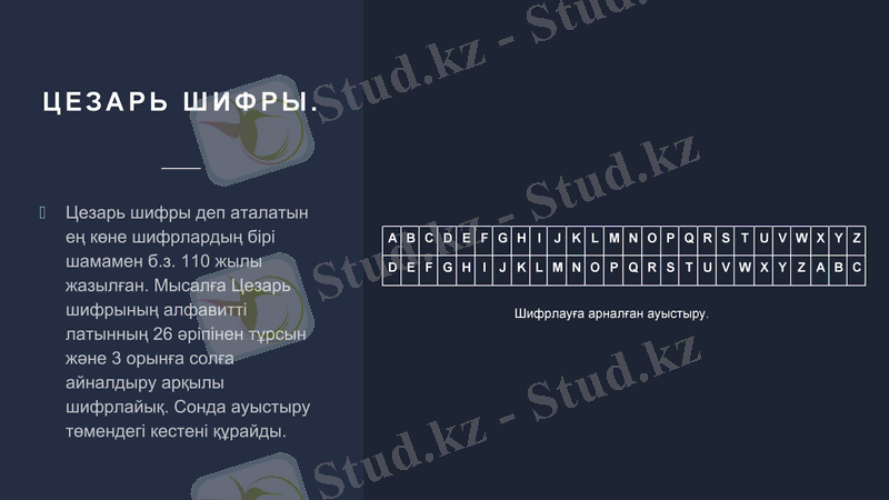 Slide 13