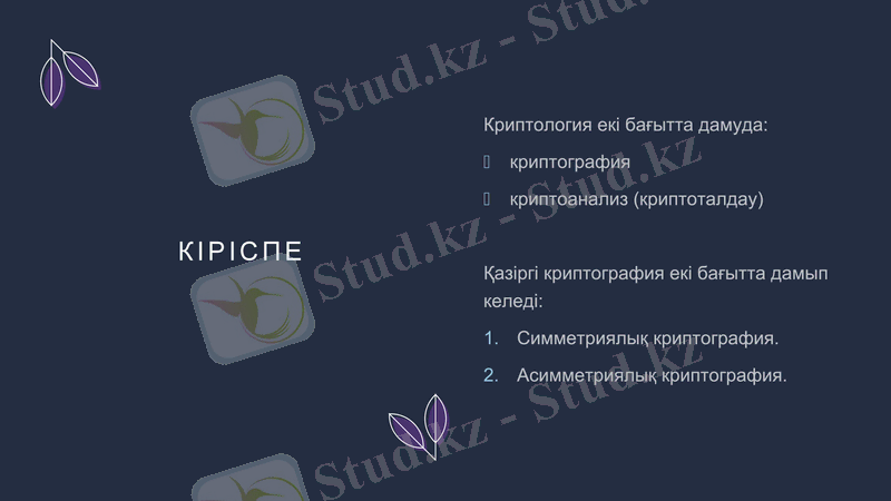 Slide 7
