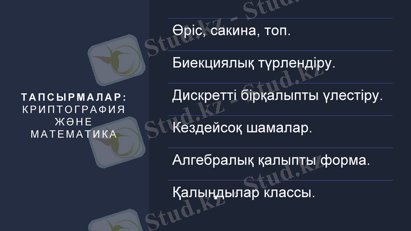 Slide 8