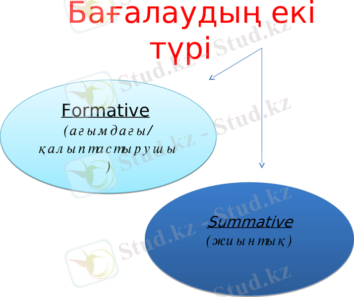 Slide 24