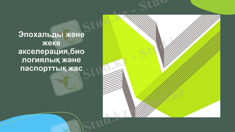 Slide 1