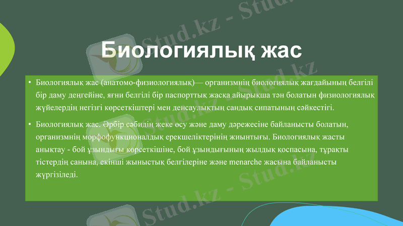 Slide 13