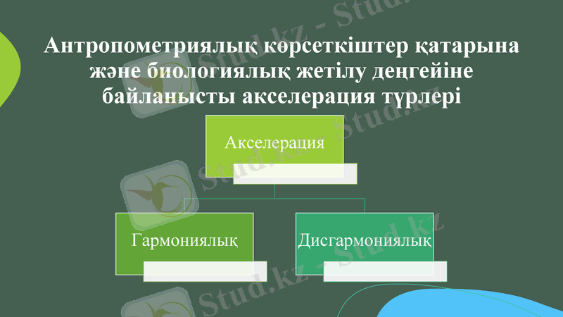 Slide 6