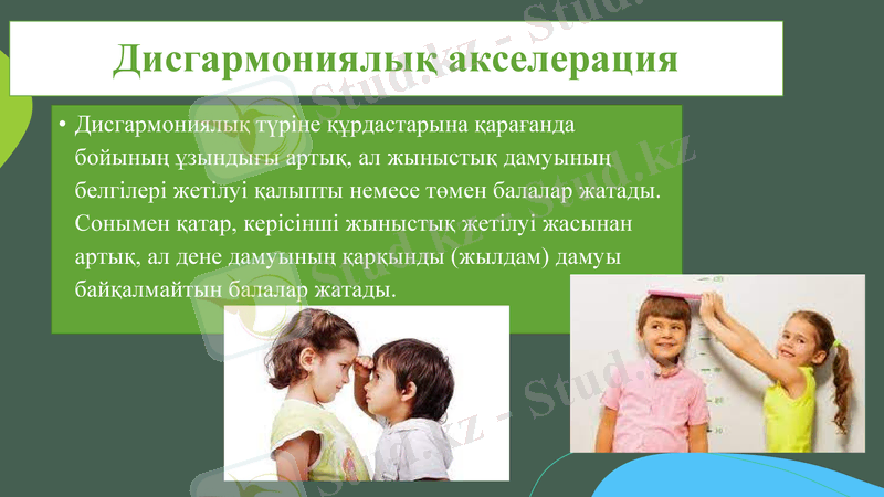 Slide 8
