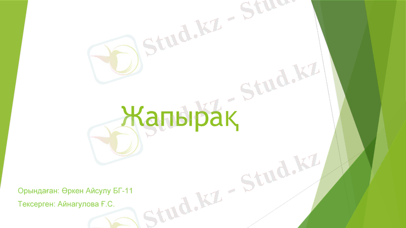 Slide 1