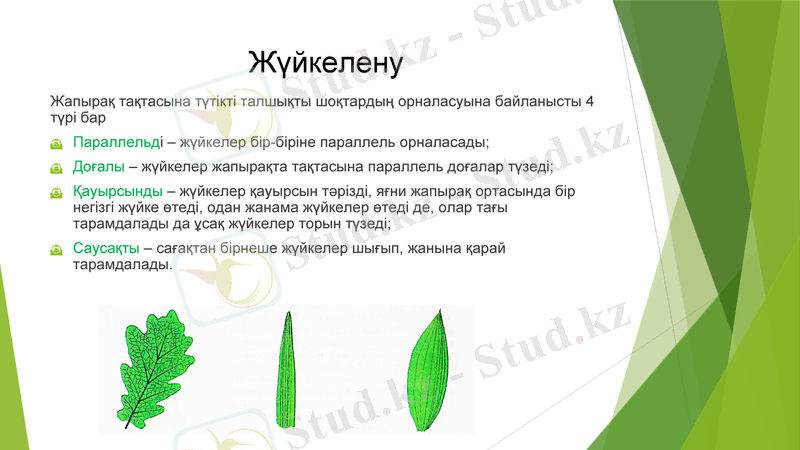 Slide 5