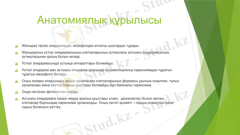 Slide 6