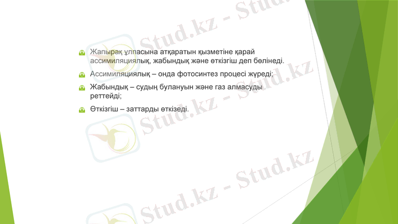 Slide 7