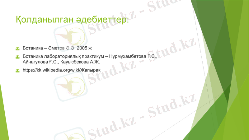 Slide 8