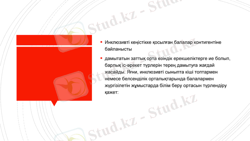 Slide 8