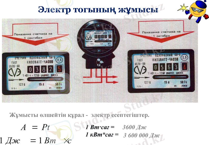 Slide 24