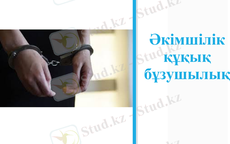 Slide 1