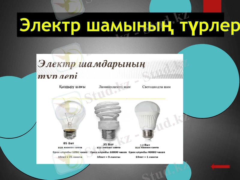 Slide 10