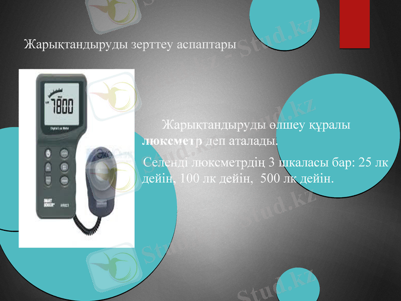 Slide 13
