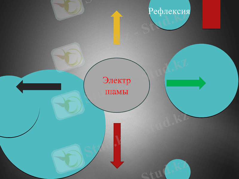Slide 24