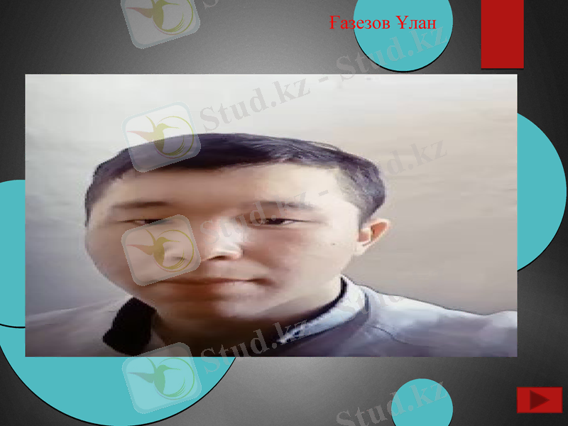 Slide 4