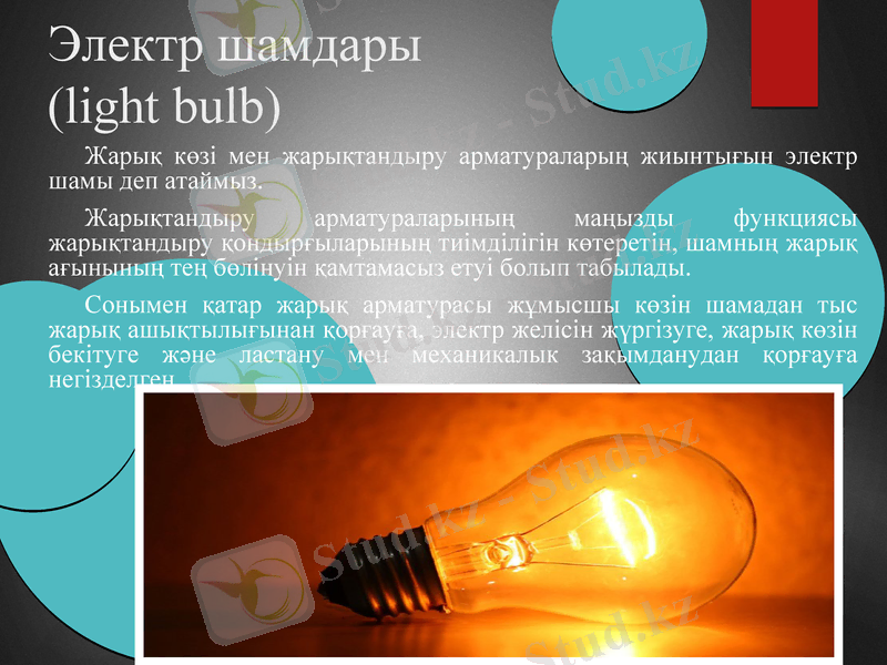 Slide 9
