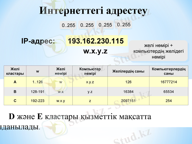Slide 13
