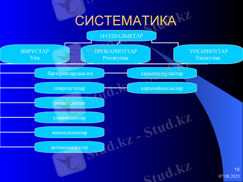 Slide 10