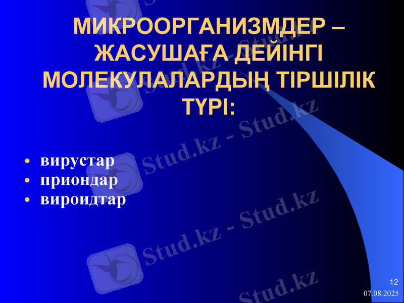 Slide 12