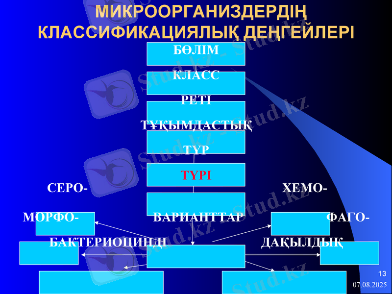 Slide 13
