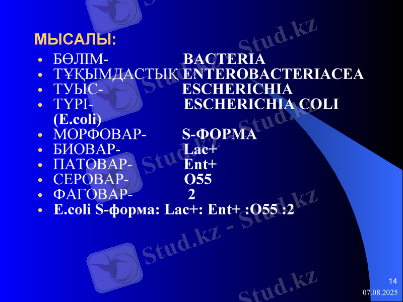 Slide 14