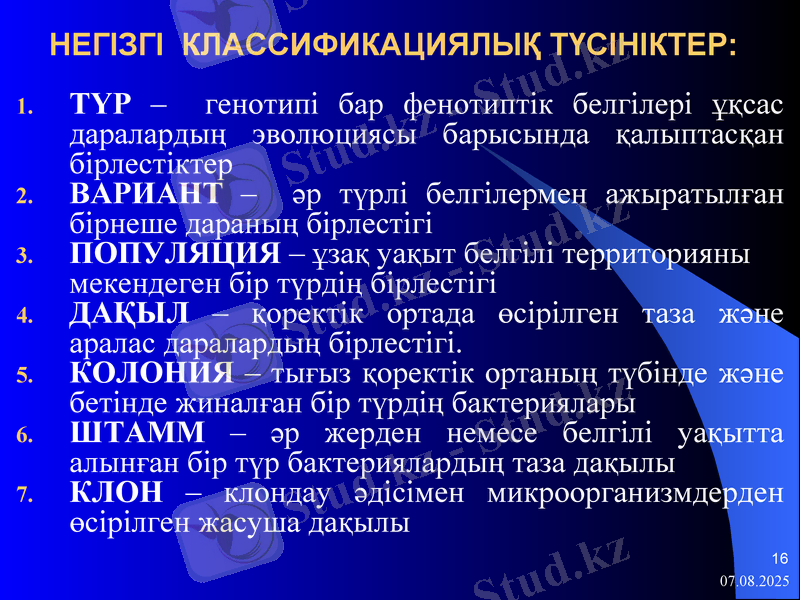 Slide 16