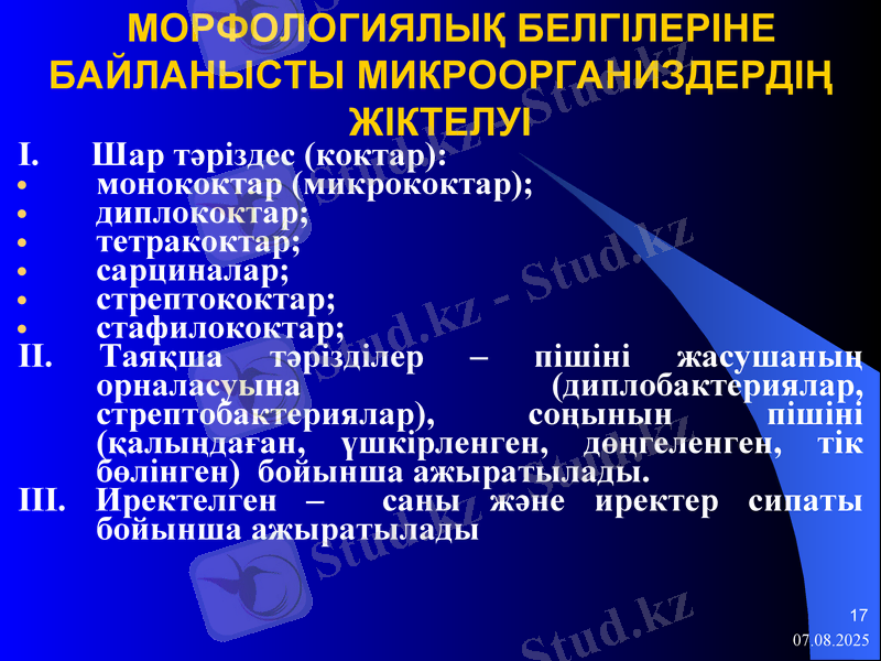 Slide 17