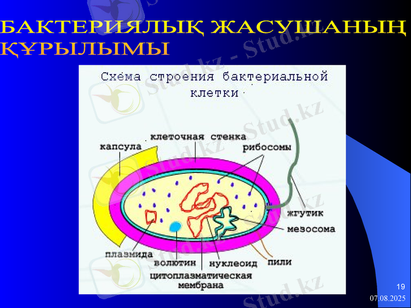 Slide 19
