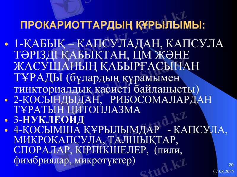 Slide 20