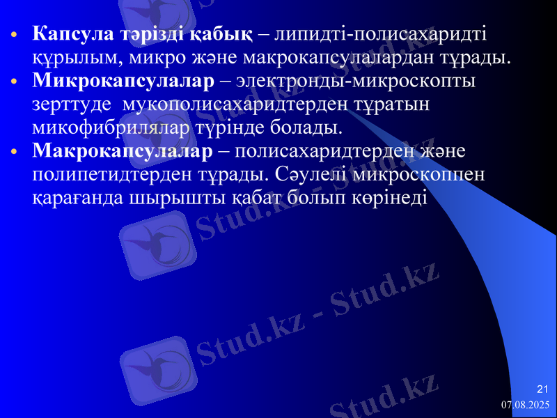 Slide 21