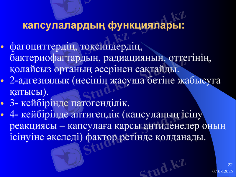 Slide 22