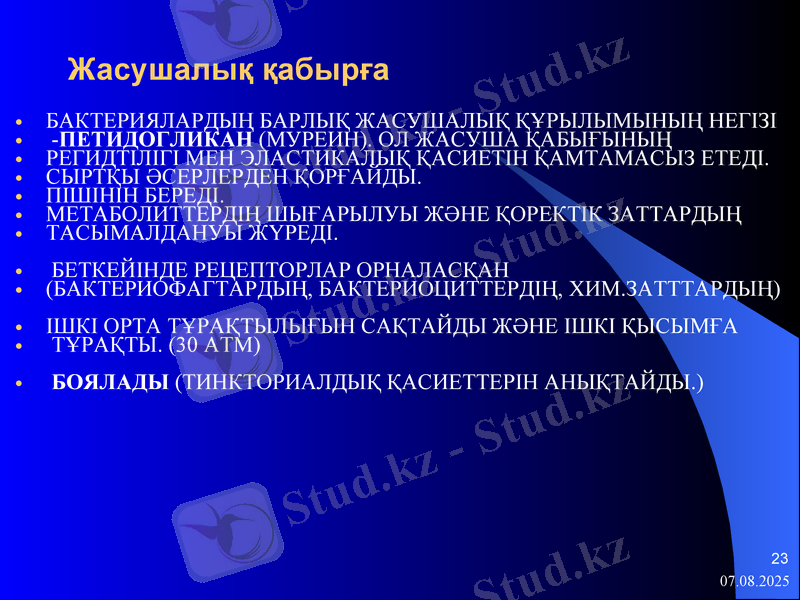 Slide 23