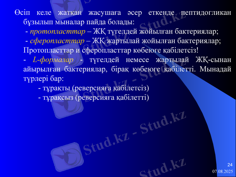 Slide 24
