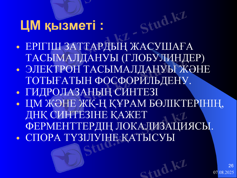 Slide 26