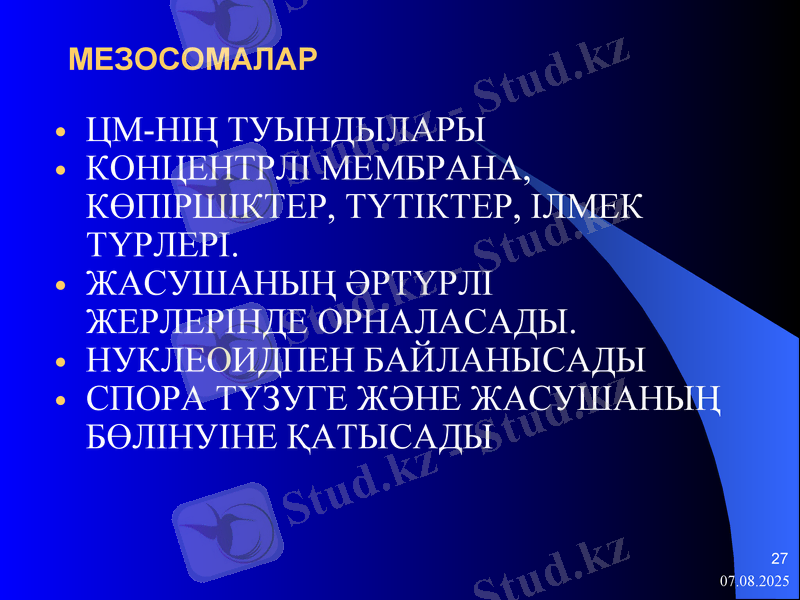Slide 27