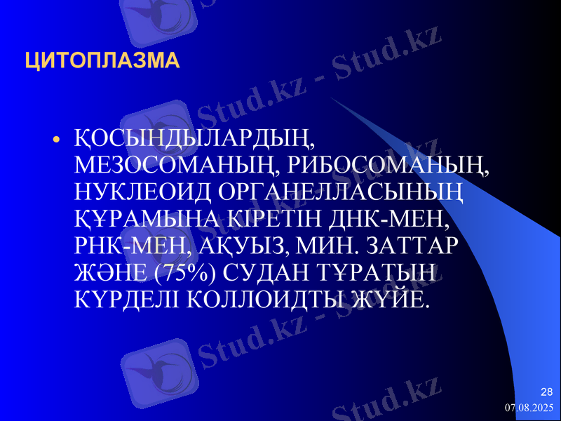 Slide 28