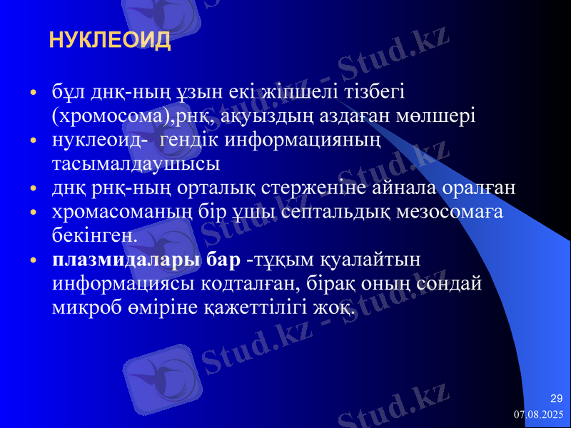 Slide 29
