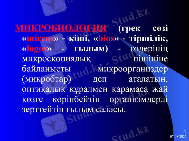 Slide 3