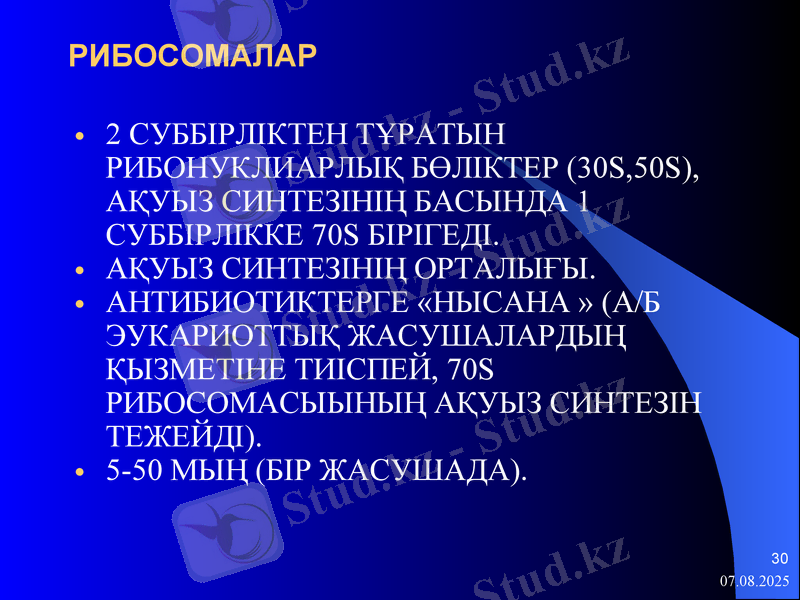 Slide 30