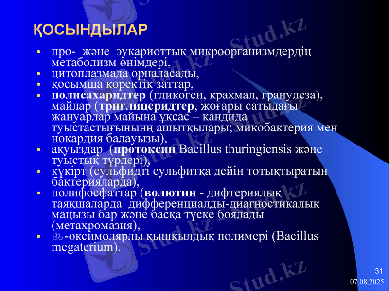 Slide 31
